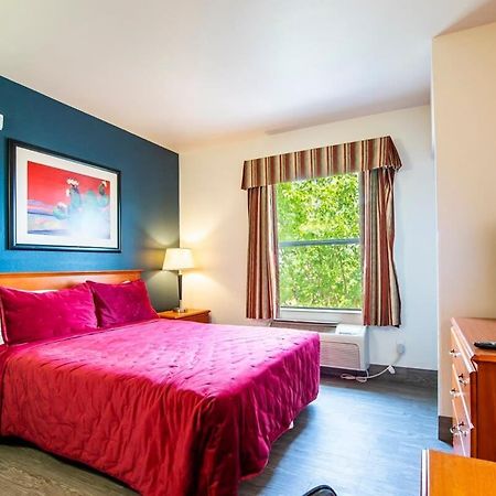 Sierra Vista Studio Apartment With Full Kitchen And King Bed 外观 照片